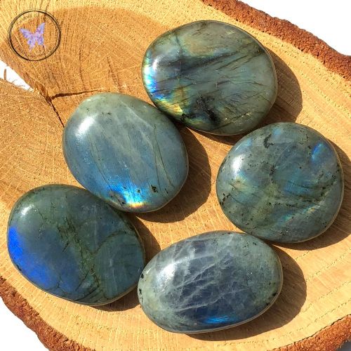 Palm Stones and Flat Stones